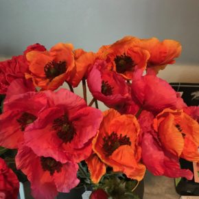 Poppies